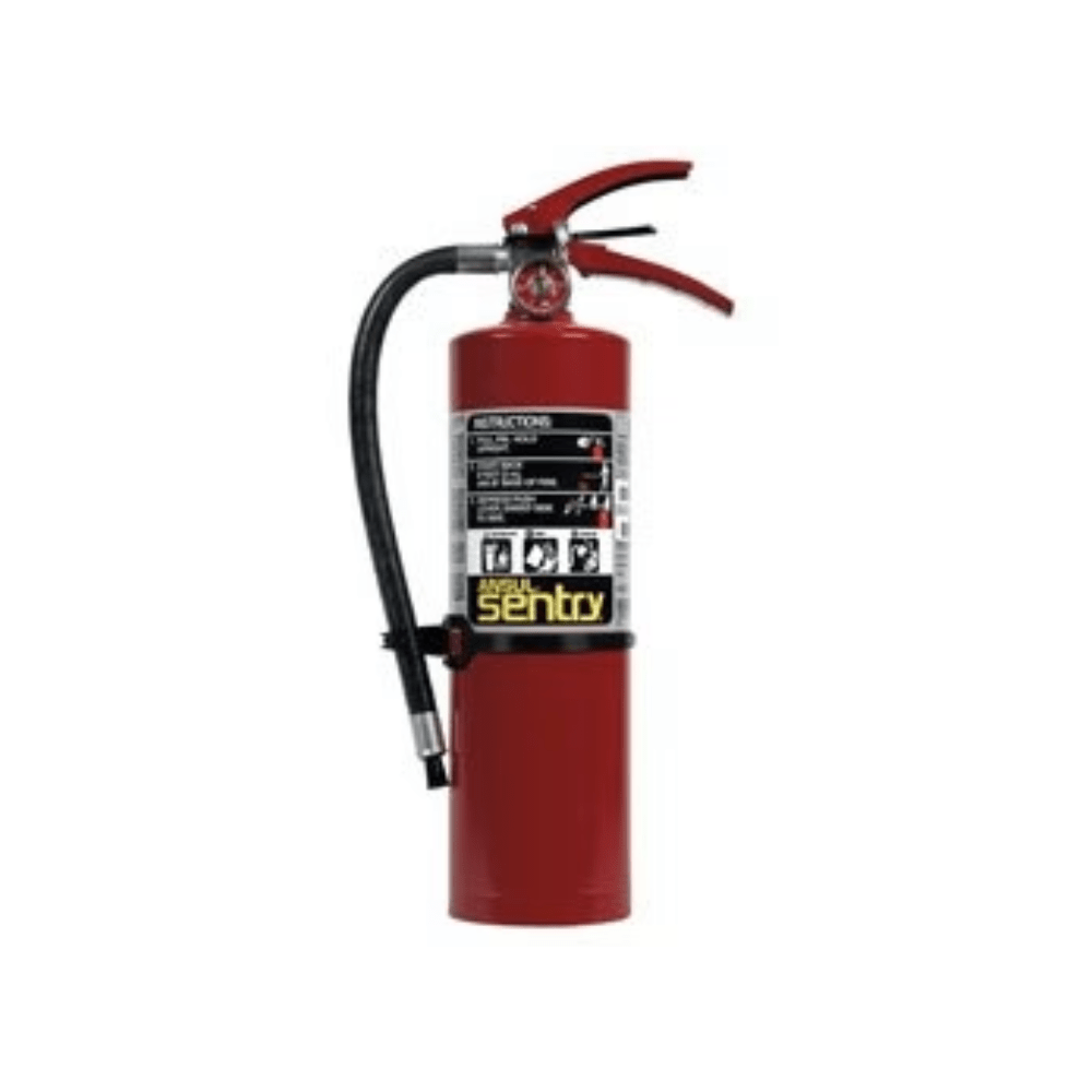 Ansul 438732 (A02S) Dry Chemical Fire Extinguisher - The Fire