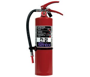 Ansul 442253 (PK05S) Purple - K Dry Chemical Fire Extinguisher - The Fire Alarm Supplier
