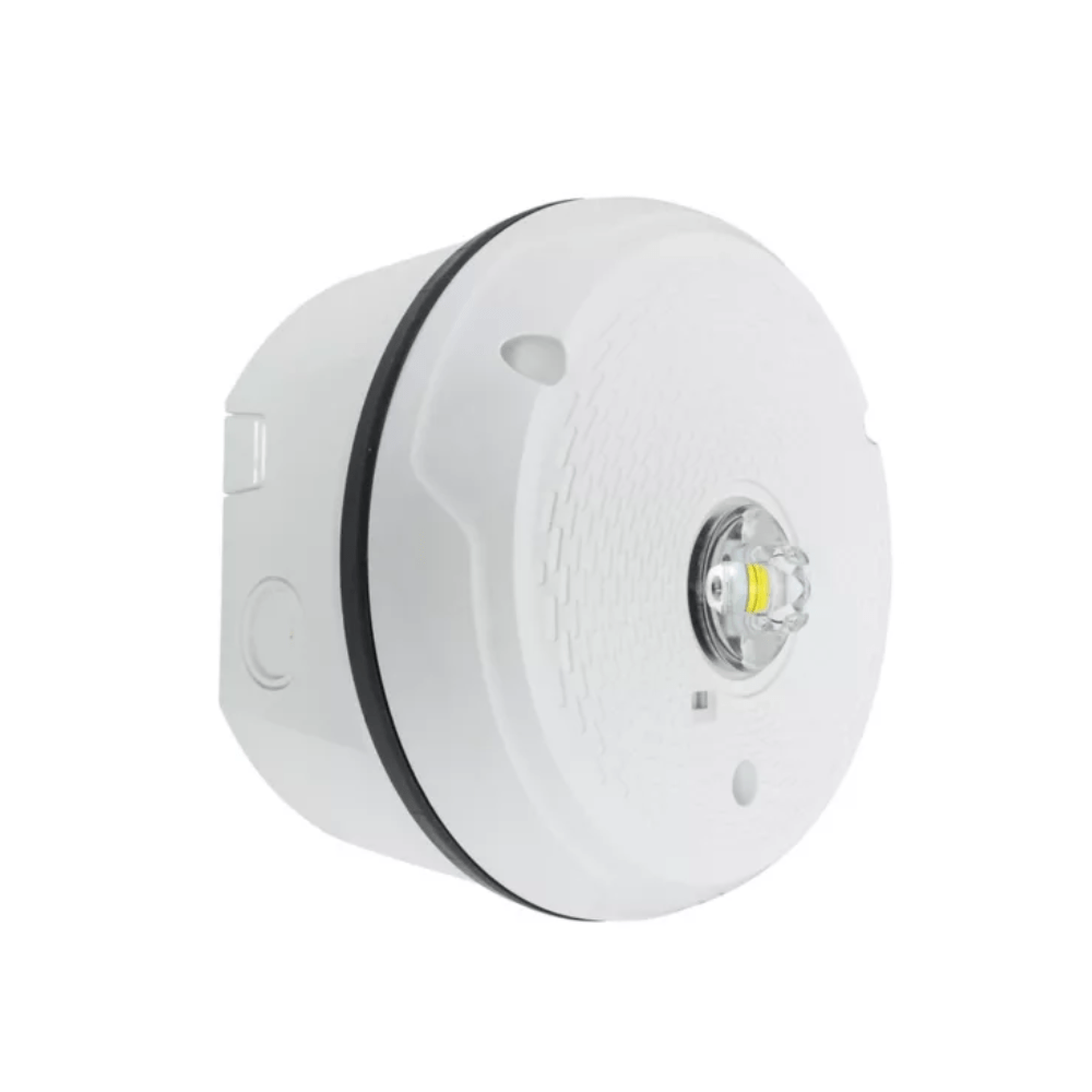 System Sensor L-Series outdoor ceiling-mounted LED strobe light, weather-resistant emergency warning signaling device.