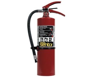 Ansul 442257 (AA05S - 1) 5 lb. ABC 3 - A:40 - B:C - The Fire Alarm Supplier