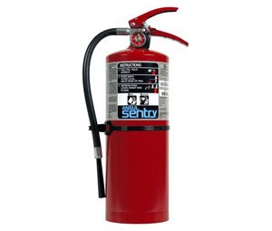 Ansul 429017 +50C C20 Dry Chemical Fire Extinguisher - 80B:C, 20 lb - The Fire Alarm Supplier